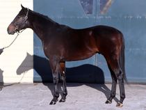 ����å��ǳ��������ɽ�����ޤ�