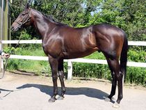 ����å��ǳ��������ɽ�����ޤ�