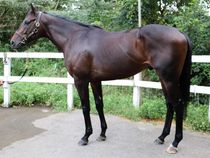 ����å��ǳ��������ɽ�����ޤ�