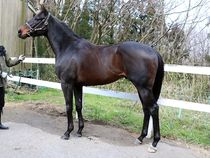 ����å��ǳ��������ɽ�����ޤ�