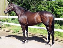 ����å��ǳ��������ɽ�����ޤ�