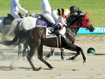 ����å��ǳ��������ɽ�����ޤ�