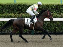 ����å��ǳ��������ɽ�����ޤ�