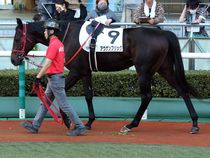 ����å��ǳ��������ɽ�����ޤ�