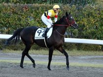 ����å��ǳ��������ɽ�����ޤ�