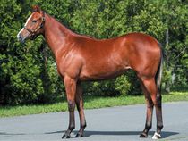 ����å��ǳ��������ɽ�����ޤ�