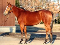 ����å��ǳ��������ɽ�����ޤ�