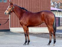 ����å��ǳ��������ɽ�����ޤ�