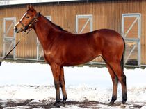 ����å��ǳ��������ɽ�����ޤ�