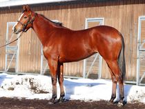 ����å��ǳ��������ɽ�����ޤ�