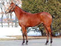 ����å��ǳ��������ɽ�����ޤ�