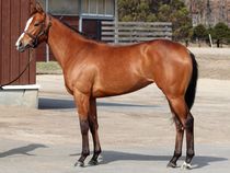 ����å��ǳ��������ɽ�����ޤ�