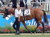 ����å��ǳ��������ɽ�����ޤ�