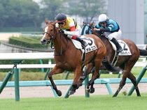 ����å��ǳ��������ɽ�����ޤ�