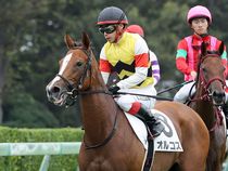 ����å��ǳ��������ɽ�����ޤ�