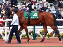 ����å��ǳ��������ɽ�����ޤ�