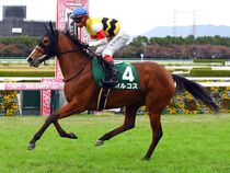 ����å��ǳ��������ɽ�����ޤ�