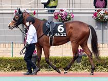 ����å��ǳ��������ɽ�����ޤ�