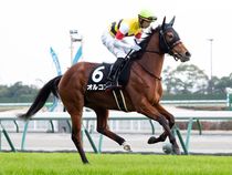 ����å��ǳ��������ɽ�����ޤ�