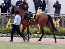 ����å��ǳ��������ɽ�����ޤ�