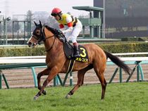 ����å��ǳ��������ɽ�����ޤ�