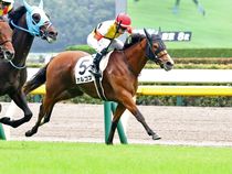 ����å��ǳ��������ɽ�����ޤ�