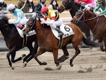 ����å��ǳ��������ɽ�����ޤ�