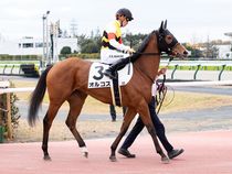 ����å��ǳ��������ɽ�����ޤ�