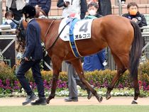 ����å��ǳ��������ɽ�����ޤ�