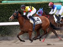 ����å��ǳ��������ɽ�����ޤ�