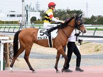 ����å��ǳ��������ɽ�����ޤ�