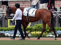 ����å��ǳ��������ɽ�����ޤ�