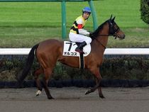 ����å��ǳ��������ɽ�����ޤ�