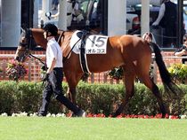 ����å��ǳ��������ɽ�����ޤ�