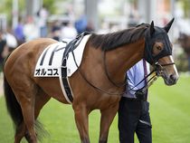 ����å��ǳ��������ɽ�����ޤ�