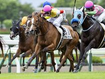 ����å��ǳ��������ɽ�����ޤ�