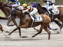 ����å��ǳ��������ɽ�����ޤ�