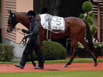 ����å��ǳ��������ɽ�����ޤ�