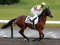 ����å��ǳ��������ɽ�����ޤ�