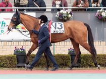 ����å��ǳ��������ɽ�����ޤ�