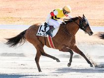 ����å��ǳ��������ɽ�����ޤ�