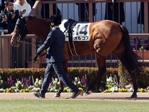 ����å��ǳ��������ɽ�����ޤ�