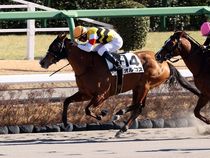 ����å��ǳ��������ɽ�����ޤ�