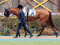 ����å��ǳ��������ɽ�����ޤ�