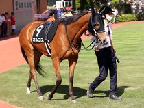 ����å��ǳ��������ɽ�����ޤ�