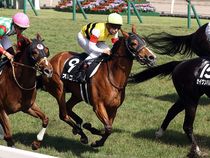 ����å��ǳ��������ɽ�����ޤ�