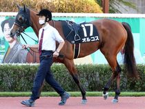 ����å��ǳ��������ɽ�����ޤ�