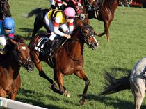 ����å��ǳ��������ɽ�����ޤ�