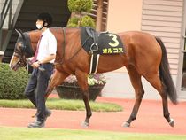 ����å��ǳ��������ɽ�����ޤ�