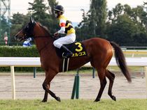 ����å��ǳ��������ɽ�����ޤ�